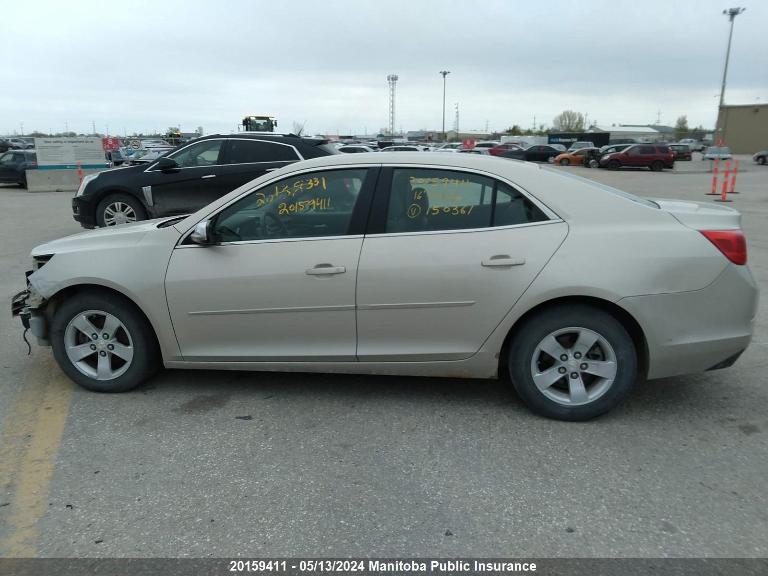 Photo 13 VIN: 1G11B5SAXGF150361 - CHEVROLET MALIBU 