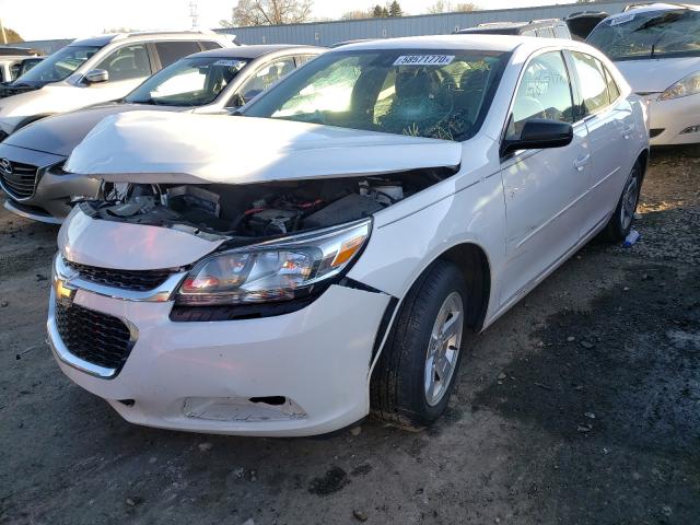 Photo 1 VIN: 1G11B5SAXGF165782 - CHEVROLET MALIBU LIM 