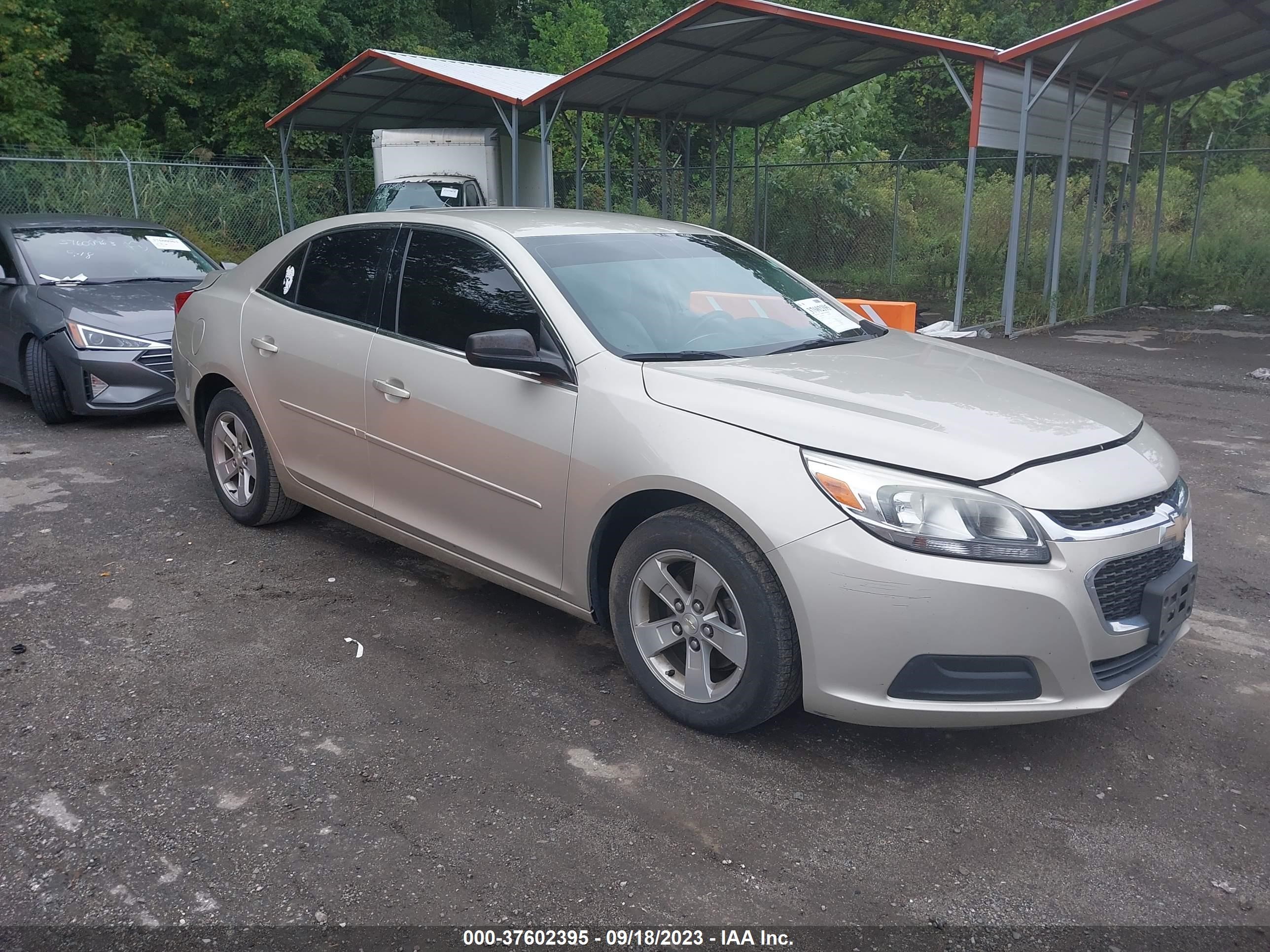 Photo 0 VIN: 1G11B5SL5FF137145 - CHEVROLET MALIBU 