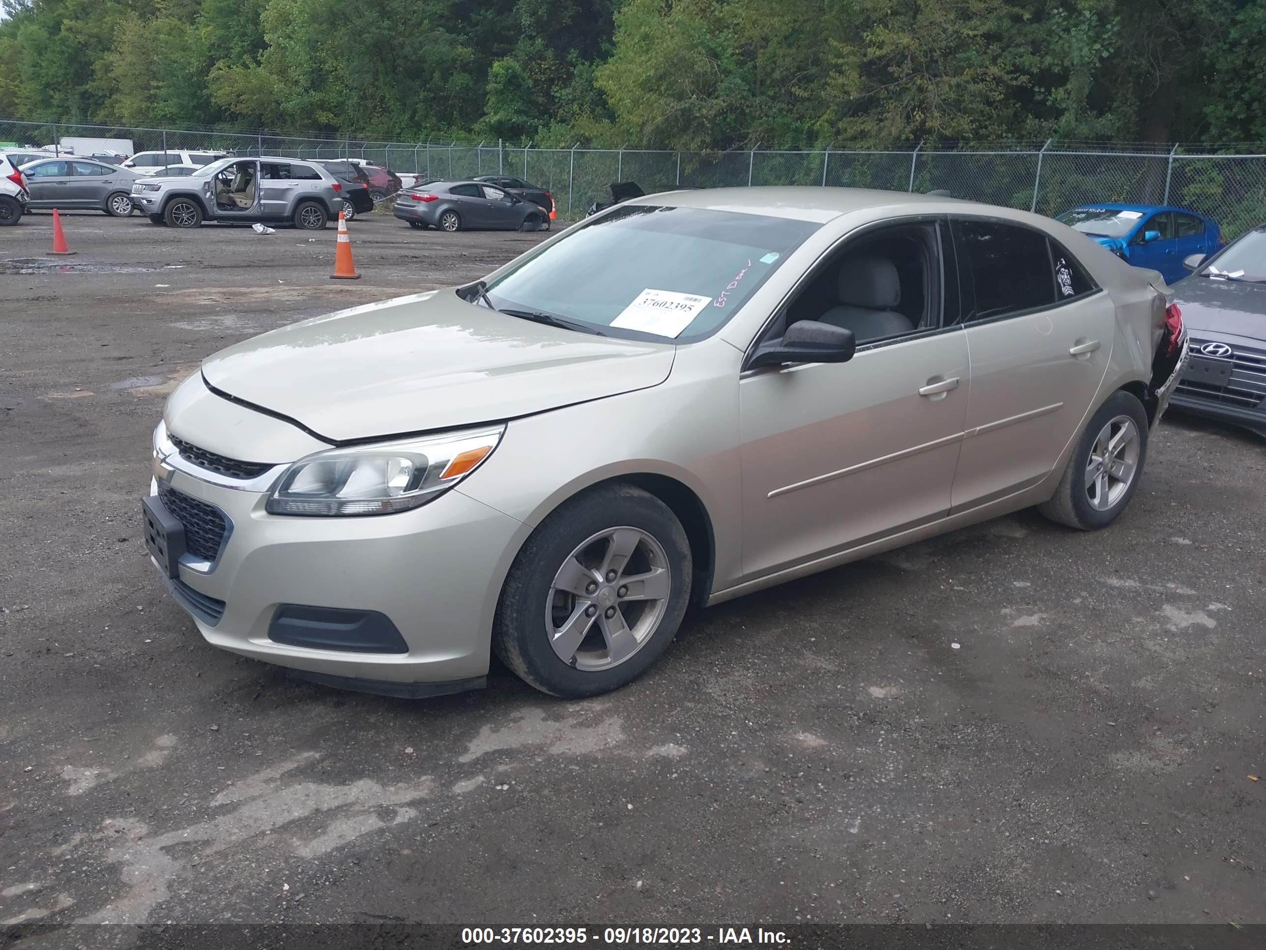 Photo 1 VIN: 1G11B5SL5FF137145 - CHEVROLET MALIBU 