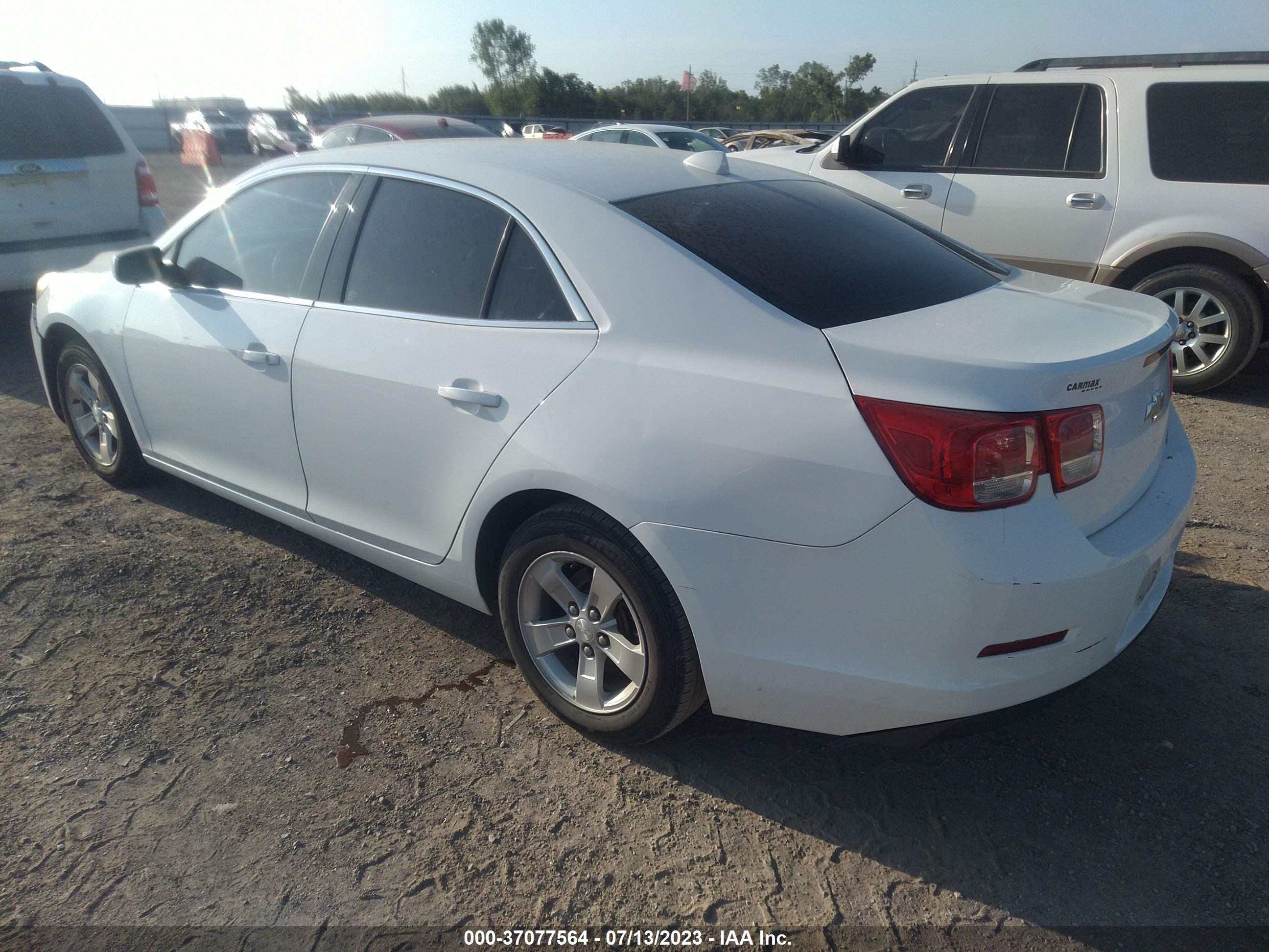 Photo 2 VIN: 1G11C5SA1DF166179 - CHEVROLET MALIBU 