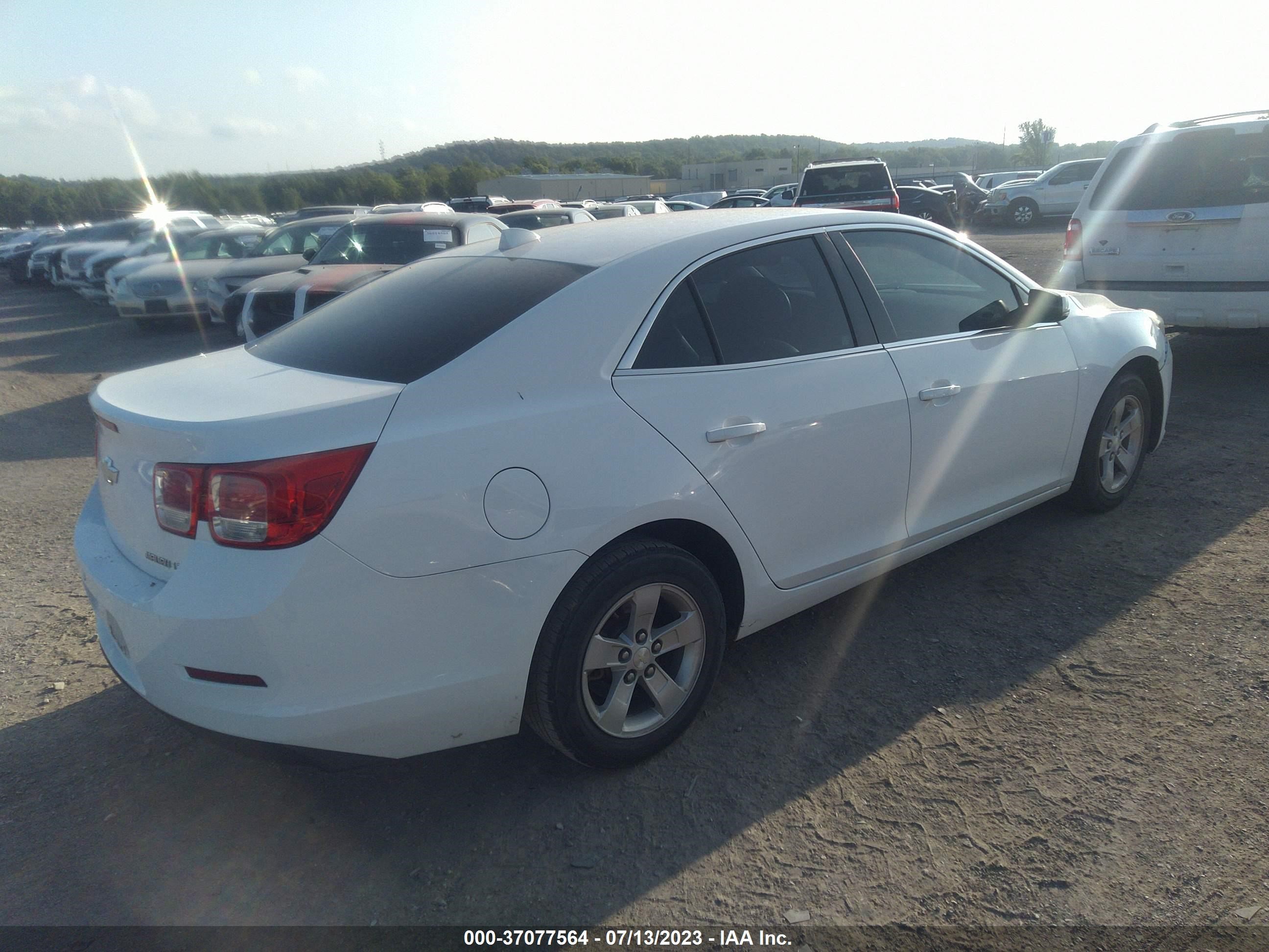 Photo 3 VIN: 1G11C5SA1DF166179 - CHEVROLET MALIBU 