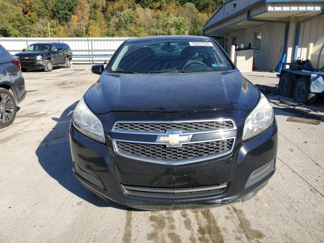 Photo 4 VIN: 1G11C5SA1DU145764 - CHEVROLET MALIBU 1LT 