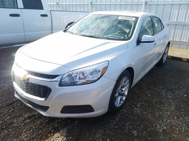 Photo 1 VIN: 1G11C5SA1GF101451 - CHEVROLET MALIBU LIM 