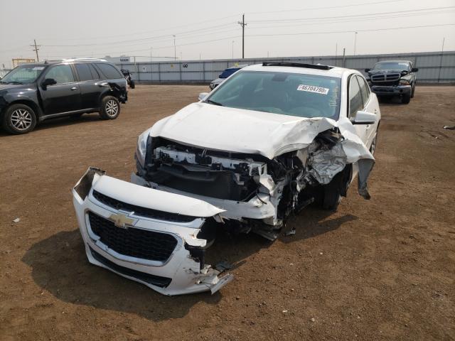 Photo 1 VIN: 1G11C5SA1GF113728 - CHEVROLET MALIBU LIM 