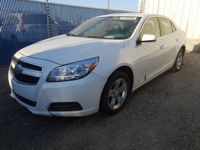 Photo 1 VIN: 1G11C5SA2DF235154 - CHEVROLET MALIBU 1LT 