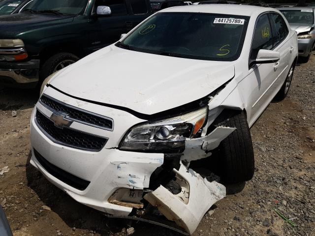 Photo 1 VIN: 1G11C5SA2DF248311 - CHEVROLET MALIBU 1LT 