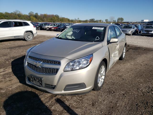 Photo 1 VIN: 1G11C5SA3DF153661 - CHEVROLET MALIBU 1LT 