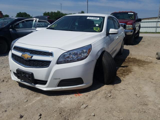 Photo 1 VIN: 1G11C5SA3DF264792 - CHEVROLET MALIBU 1LT 