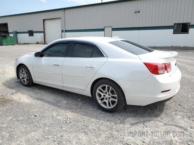 Photo 1 VIN: 1G11C5SA3GF103623 - CHEVROLET MALIBU 