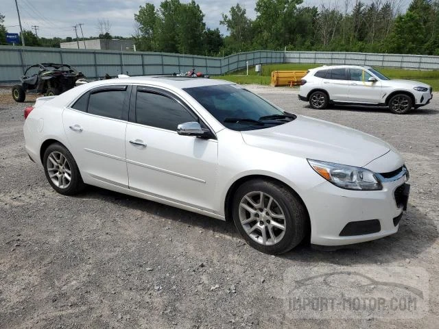 Photo 3 VIN: 1G11C5SA3GF103623 - CHEVROLET MALIBU 