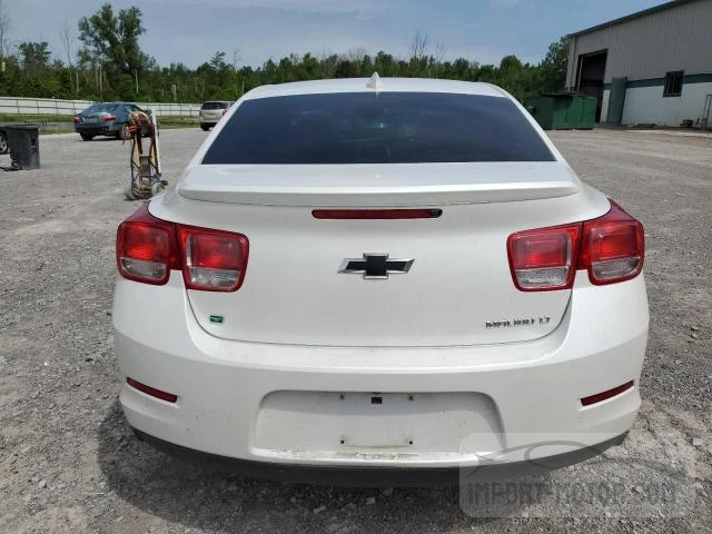 Photo 5 VIN: 1G11C5SA3GF103623 - CHEVROLET MALIBU 