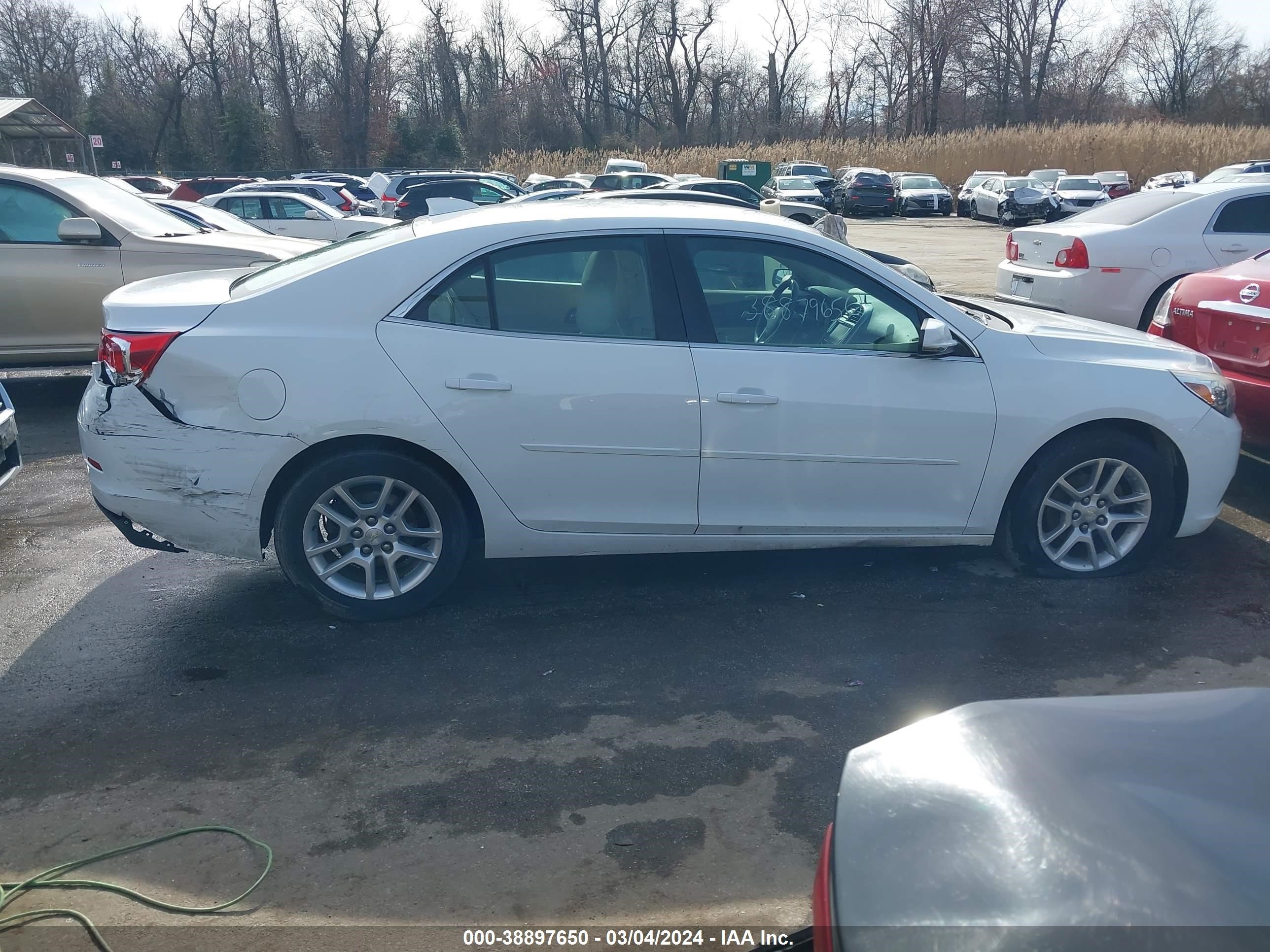 Photo 12 VIN: 1G11C5SA3GF117263 - CHEVROLET MALIBU 