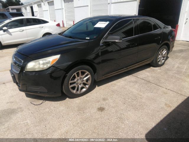 Photo 1 VIN: 1G11C5SA5DF143021 - CHEVROLET MALIBU 