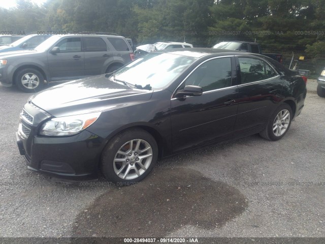 Photo 1 VIN: 1G11C5SA5DF161101 - CHEVROLET MALIBU 