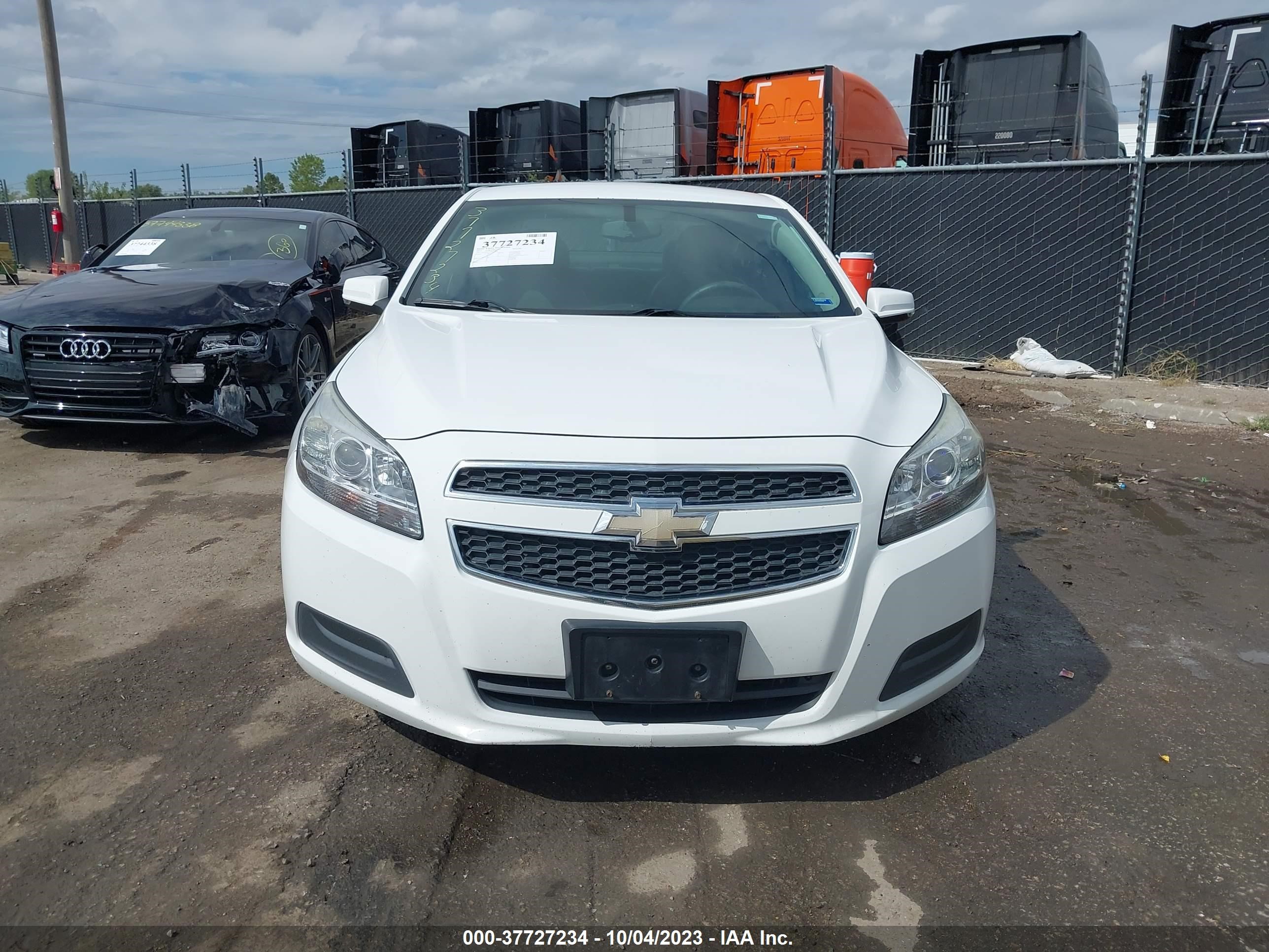 Photo 11 VIN: 1G11C5SA5DF246925 - CHEVROLET MALIBU 