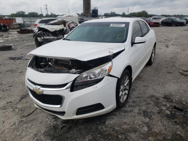 Photo 1 VIN: 1G11C5SA5GF121203 - CHEVROLET MALIBU LIM 