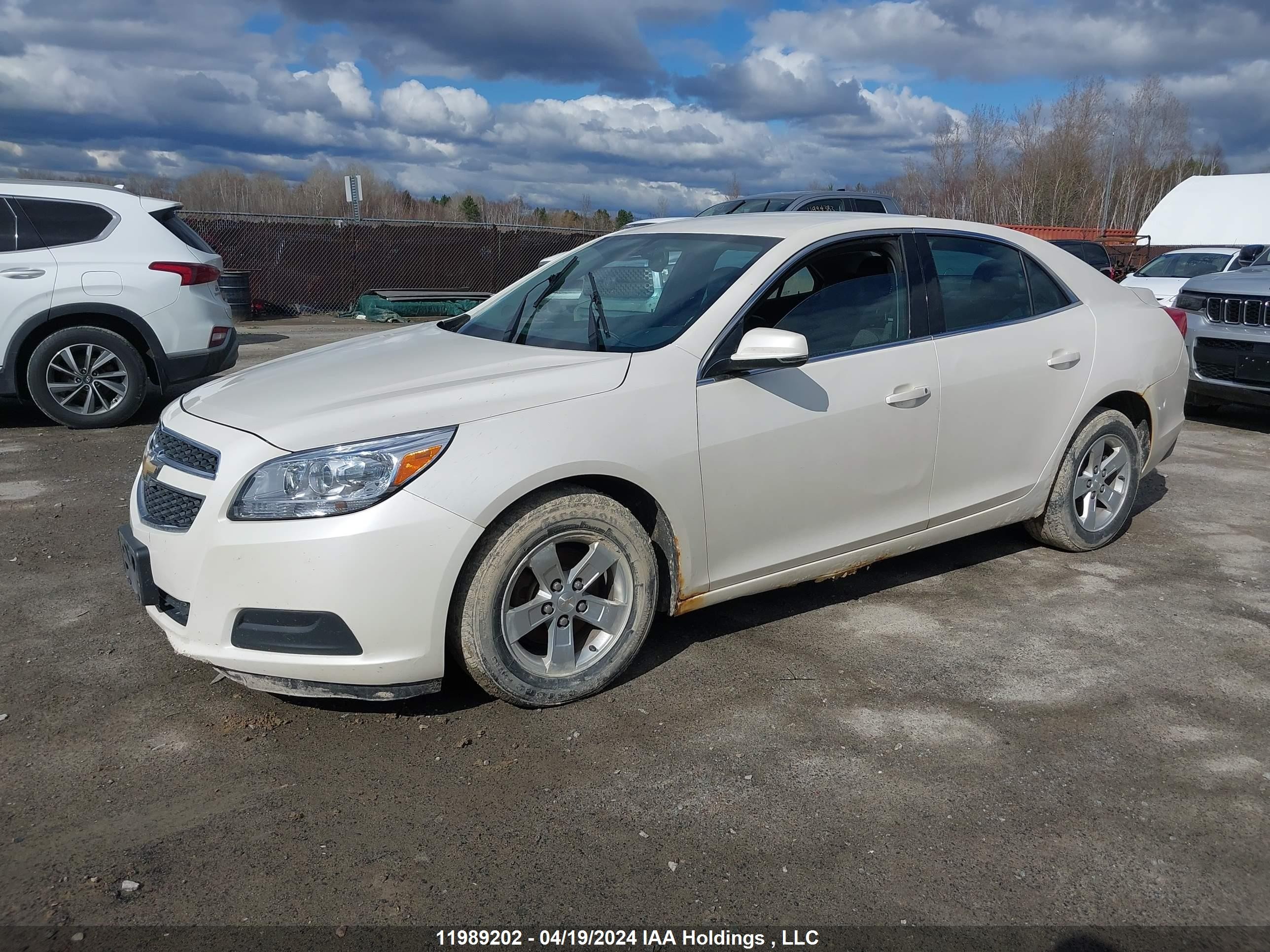 Photo 1 VIN: 1G11C5SA7DF314934 - CHEVROLET MALIBU 