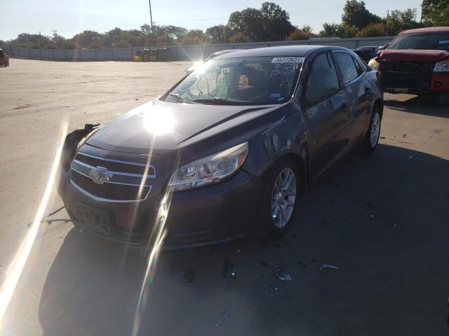 Photo 1 VIN: 1G11C5SA7DF338487 - CHEVROLET MALIBU 1LT 