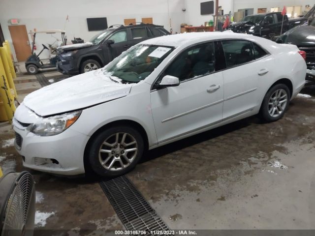 Photo 1 VIN: 1G11C5SA7GF117315 - CHEVROLET MALIBU LIMITED 