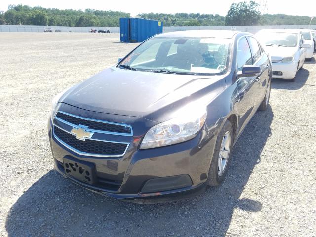 Photo 1 VIN: 1G11C5SA8DF299134 - CHEVROLET MALIBU 1LT 