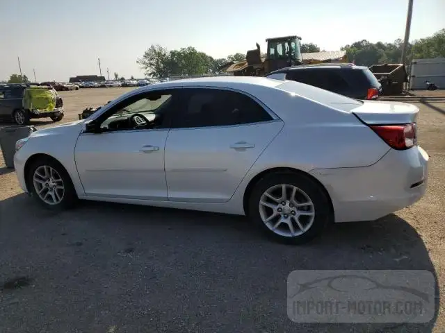 Photo 1 VIN: 1G11C5SA8GF116562 - CHEVROLET MALIBU 