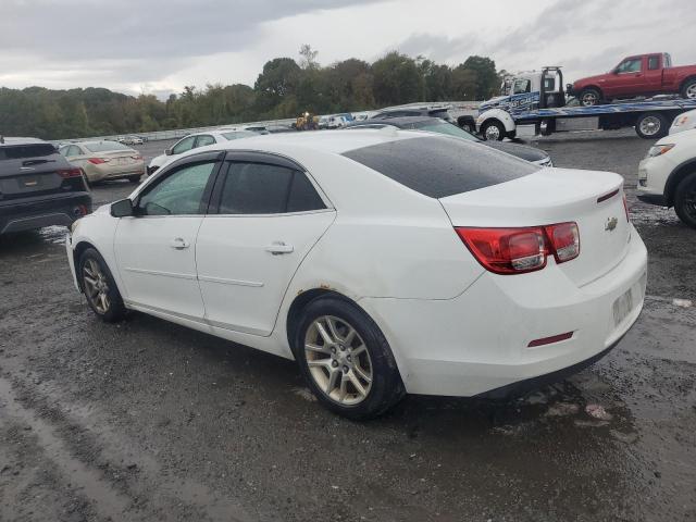 Photo 1 VIN: 1G11C5SA9DF189435 - CHEVROLET MALIBU 1LT 