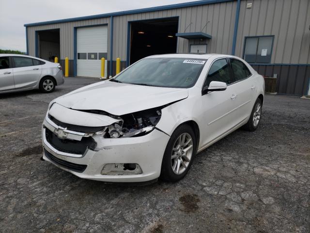 Photo 1 VIN: 1G11C5SA9GF109975 - CHEVROLET MALIBU LIM 