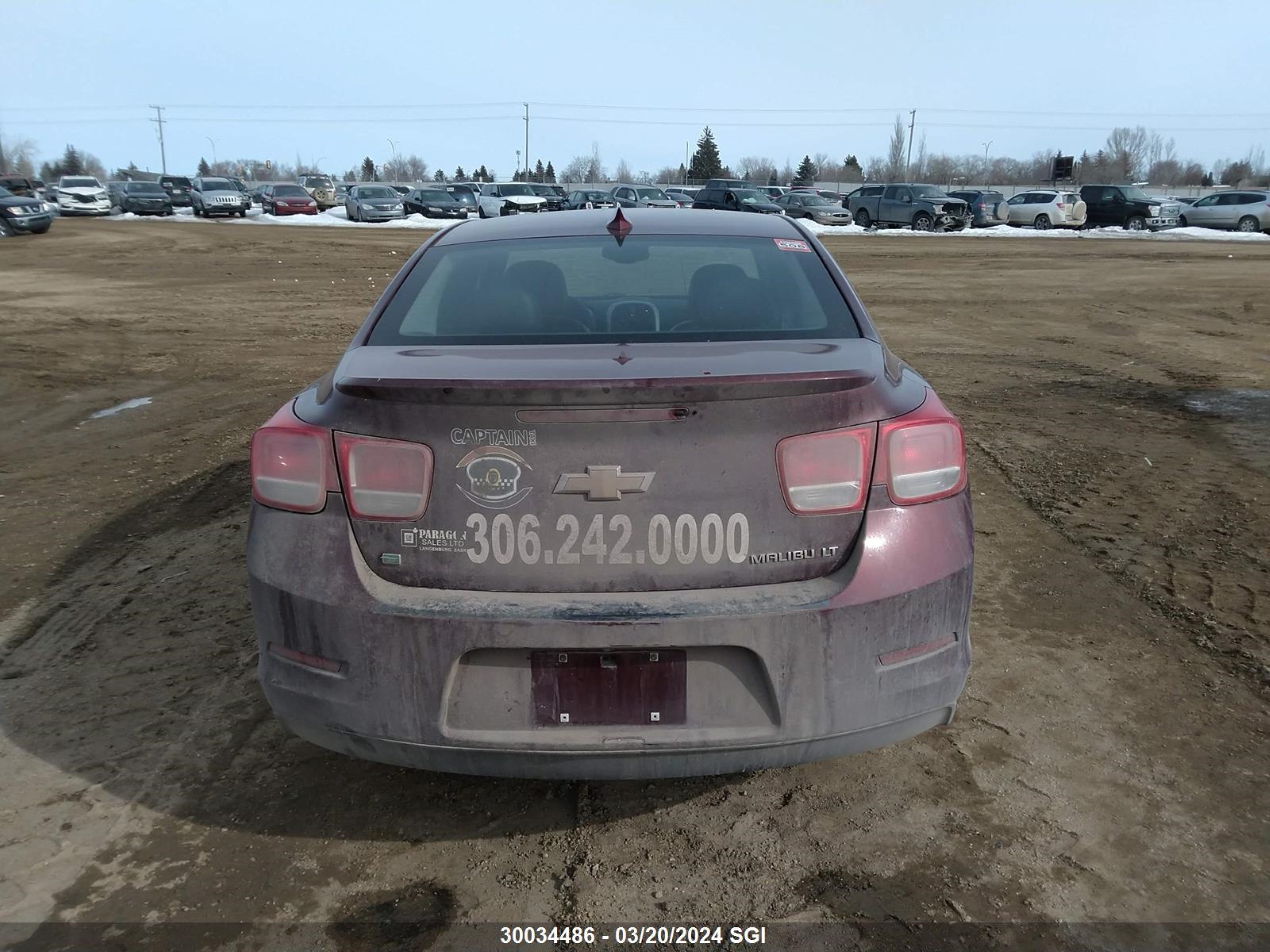 Photo 15 VIN: 1G11C5SA9GF126498 - CHEVROLET MALIBU 