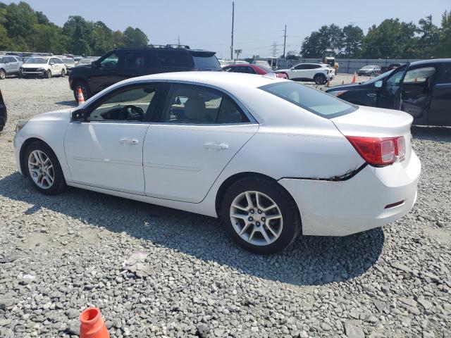 Photo 1 VIN: 1G11C5SAXDF139448 - CHEVROLET MALIBU 1LT 