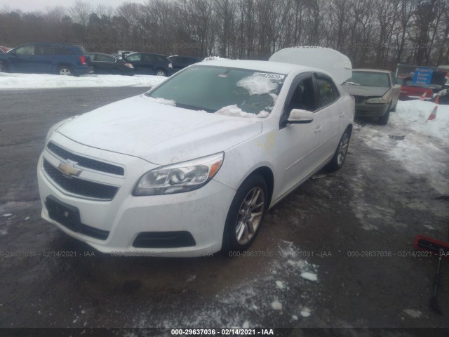 Photo 1 VIN: 1G11C5SAXDF150109 - CHEVROLET MALIBU 