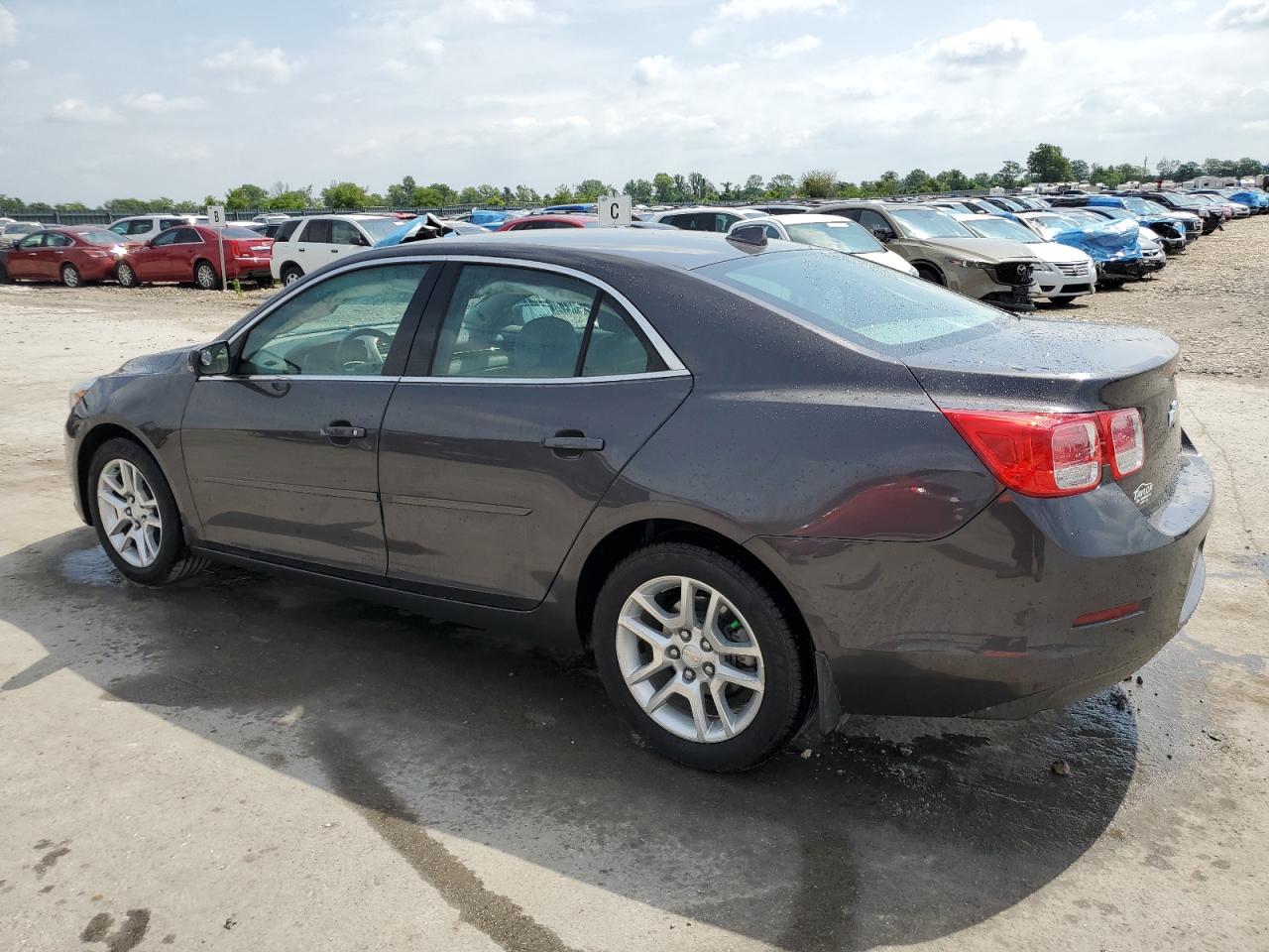 Photo 1 VIN: 1G11C5SAXDF255569 - CHEVROLET MALIBU 