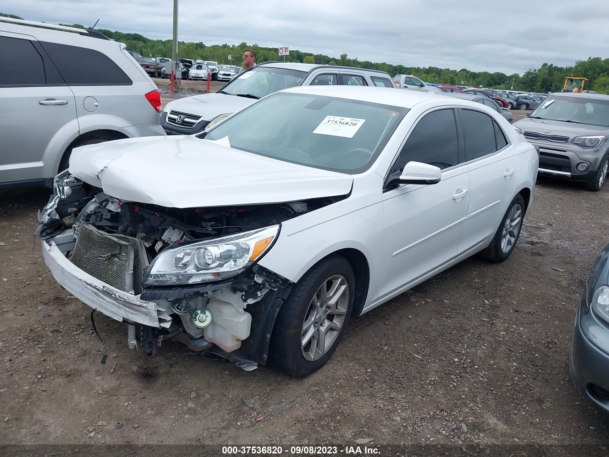 Photo 1 VIN: 1G11C5SL0EF239237 - CHEVROLET MALIBU 