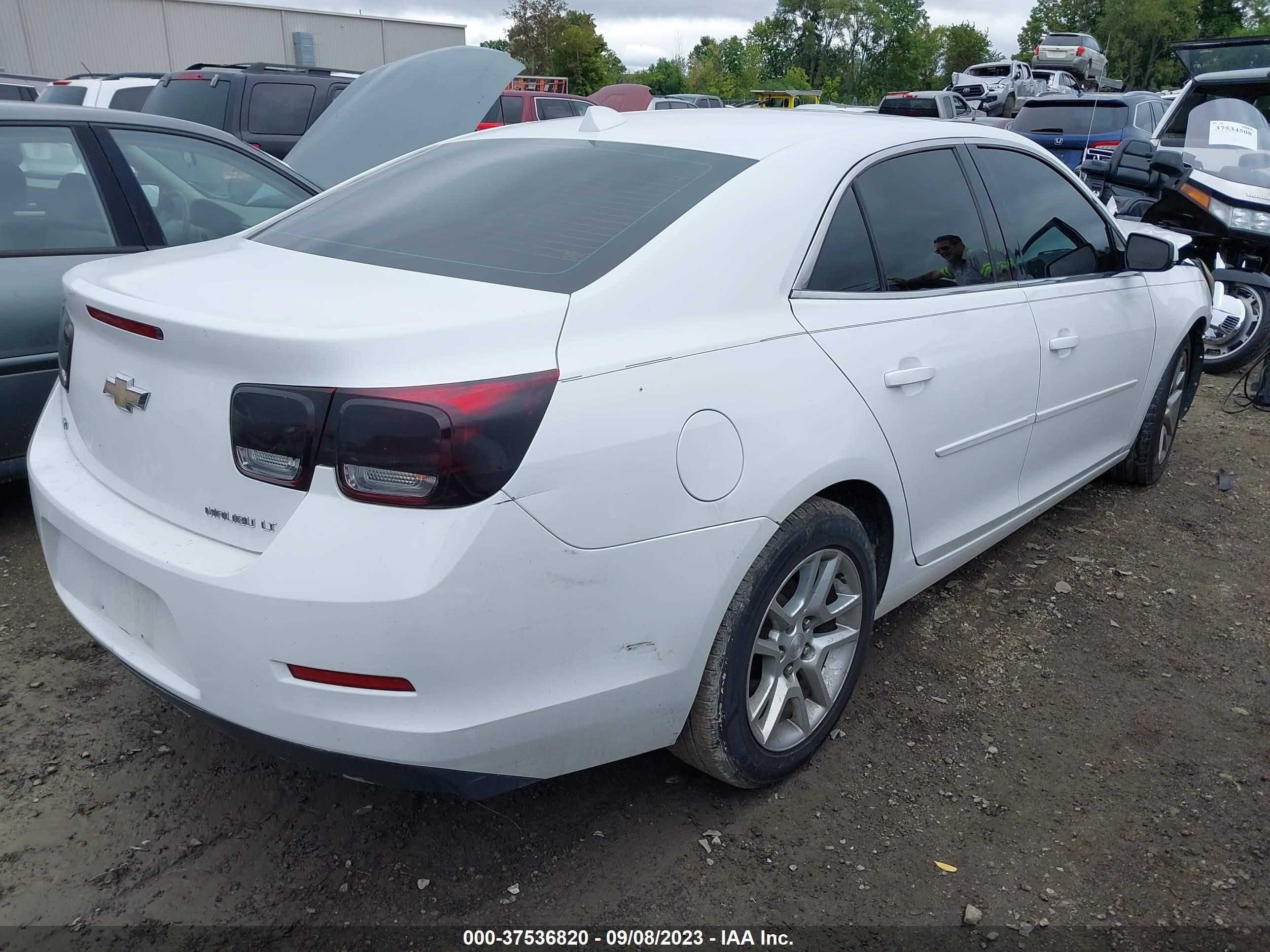 Photo 3 VIN: 1G11C5SL0EF239237 - CHEVROLET MALIBU 