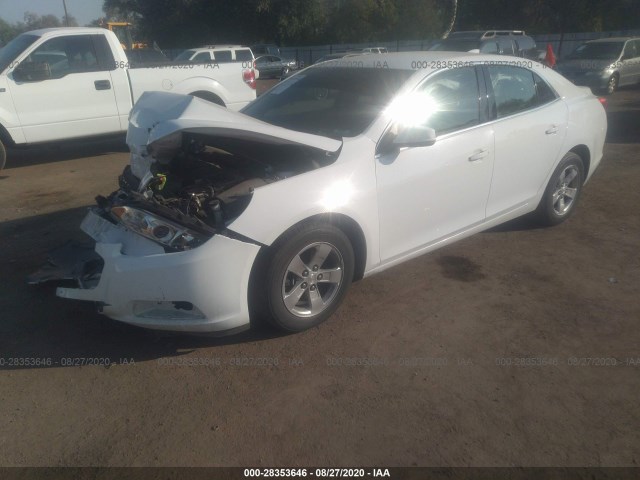 Photo 1 VIN: 1G11C5SL1FF303819 - CHEVROLET MALIBU 