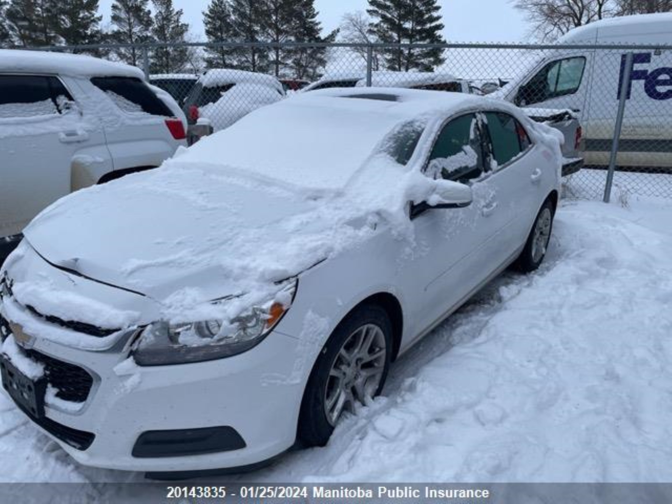 Photo 1 VIN: 1G11C5SL3FF331685 - CHEVROLET MALIBU 