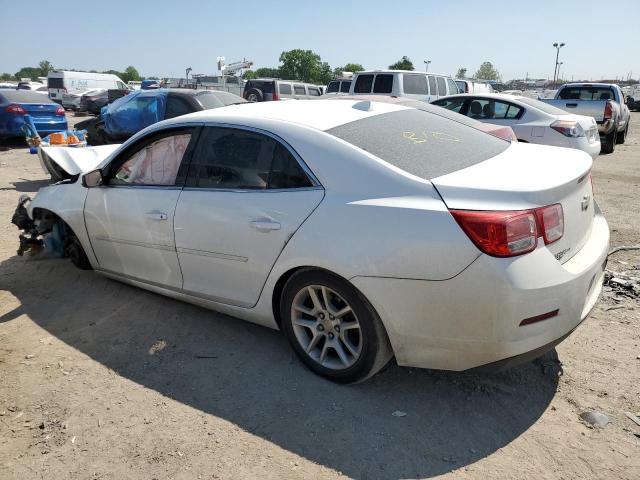 Photo 1 VIN: 1G11C5SL5EF168469 - CHEVROLET MALIBU 