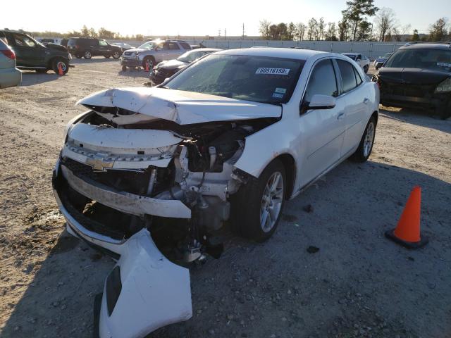 Photo 1 VIN: 1G11C5SL5FF316167 - CHEVROLET MALIBU 1LT 