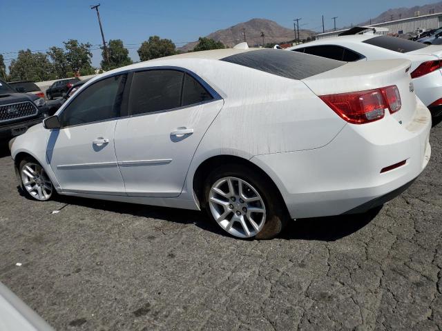 Photo 1 VIN: 1G11C5SL7EF246282 - CHEVROLET MALIBU 1LT 