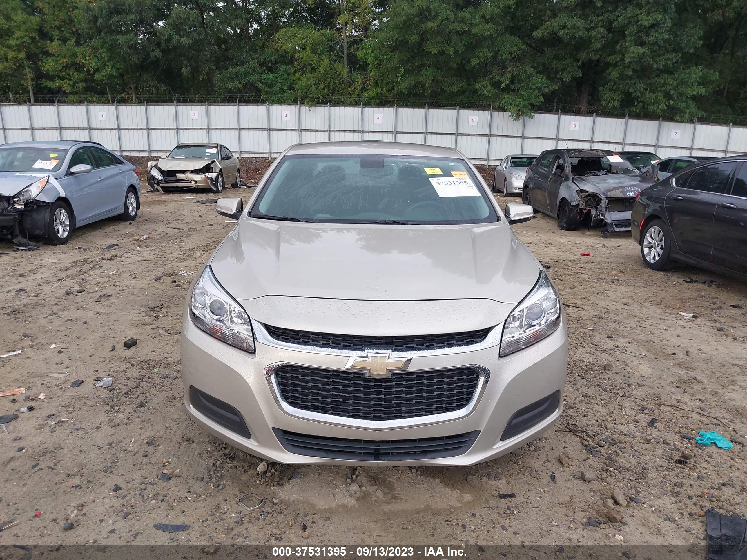 Photo 11 VIN: 1G11C5SL8EF245321 - CHEVROLET MALIBU 