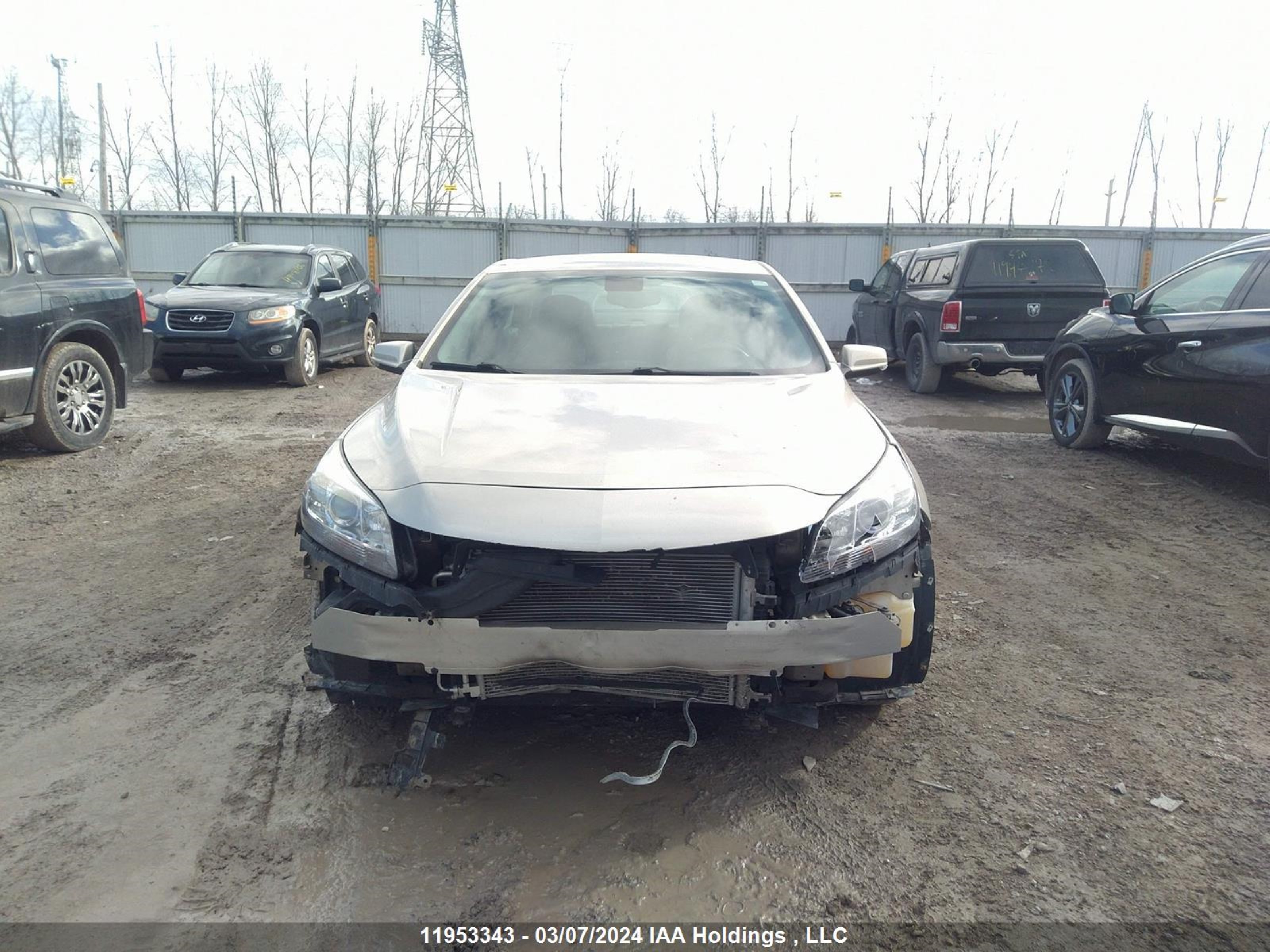 Photo 11 VIN: 1G11C5SL8FF344318 - CHEVROLET MALIBU 