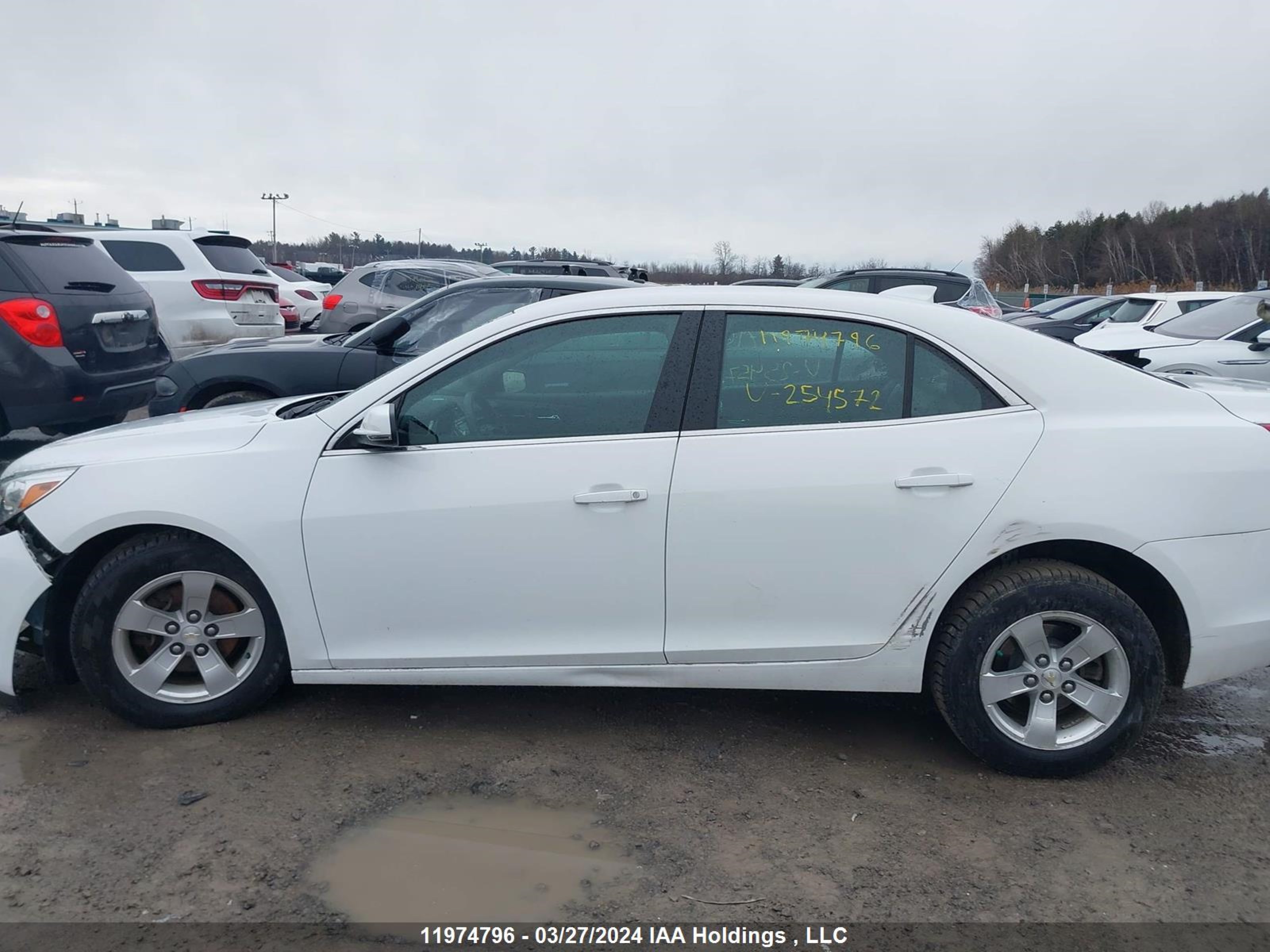 Photo 14 VIN: 1G11C5SLXFF254572 - CHEVROLET MALIBU 