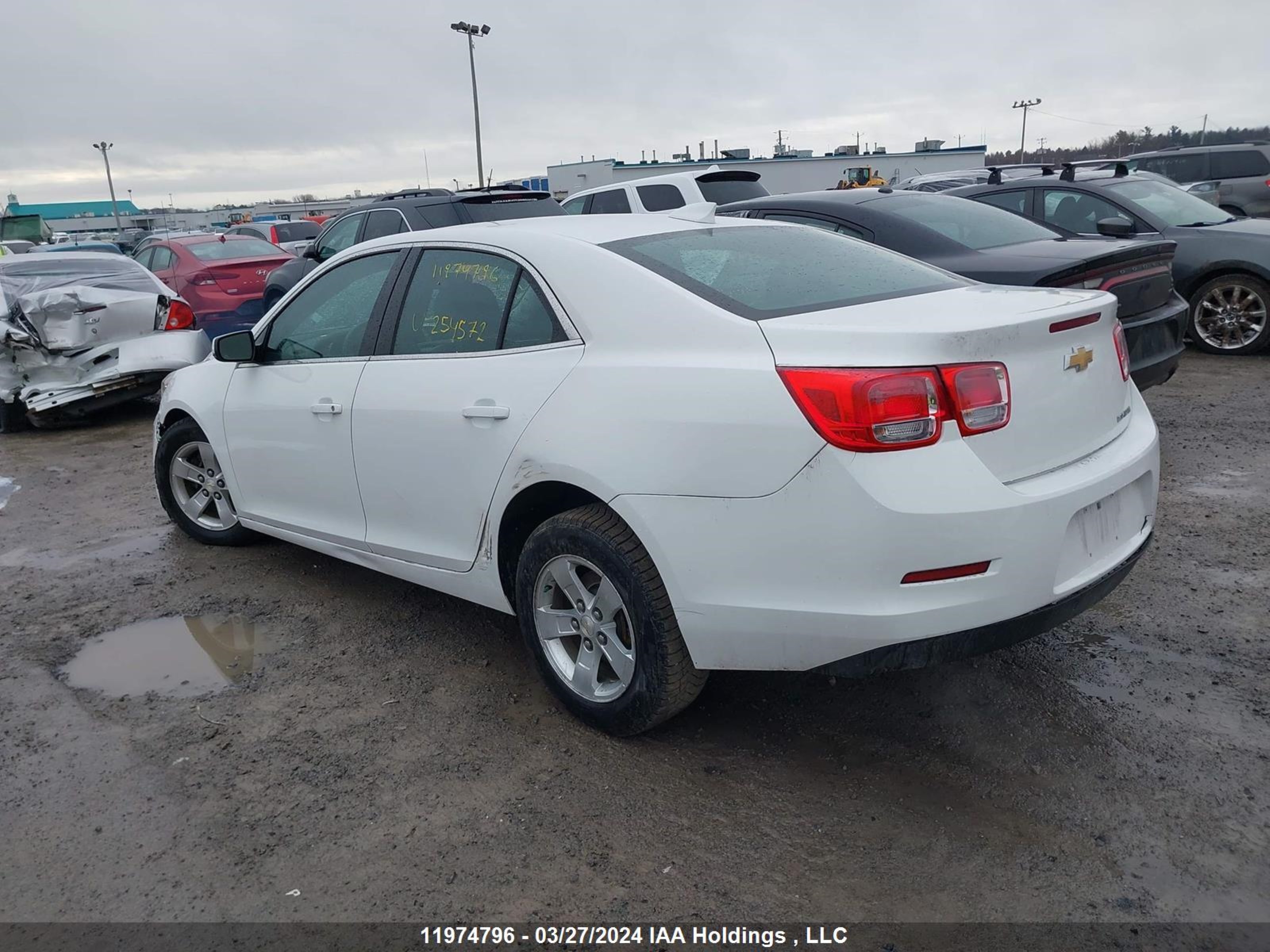 Photo 2 VIN: 1G11C5SLXFF254572 - CHEVROLET MALIBU 