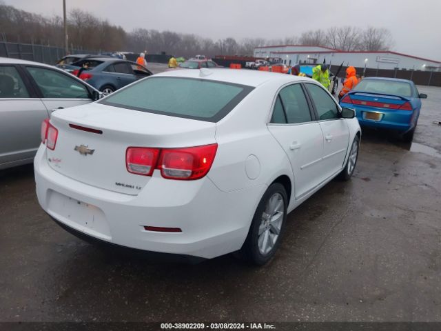 Photo 3 VIN: 1G11D5SL8FF323837 - CHEVROLET MALIBU 