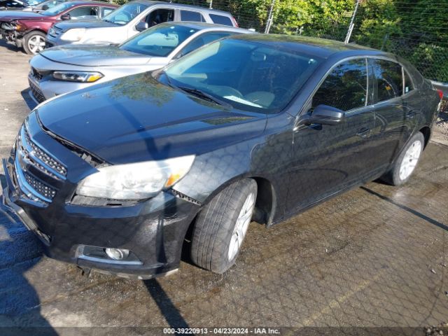 Photo 1 VIN: 1G11F5RR0DF117106 - CHEVROLET MALIBU 