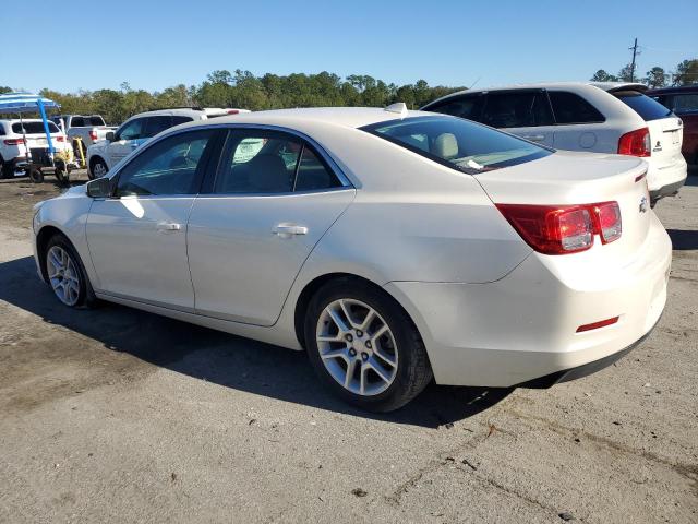 Photo 1 VIN: 1G11F5RR1DF109614 - CHEVROLET MALIBU 