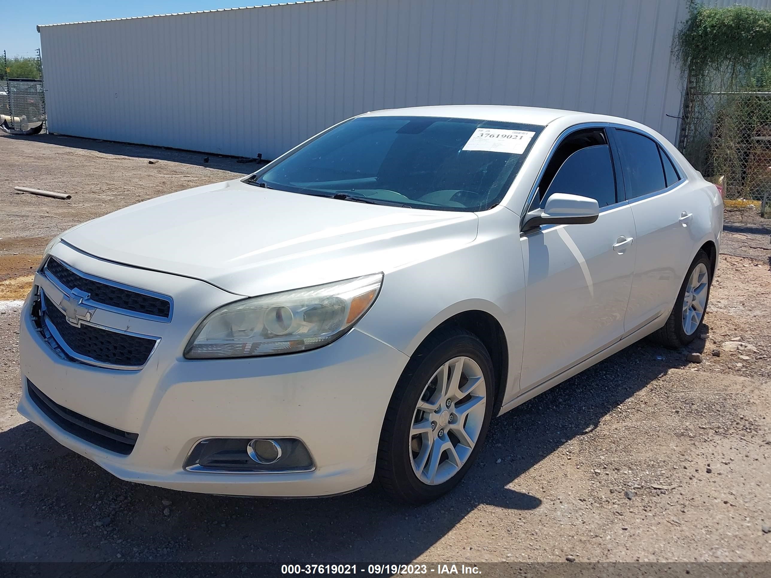 Photo 1 VIN: 1G11F5RR8DF104099 - CHEVROLET MALIBU 