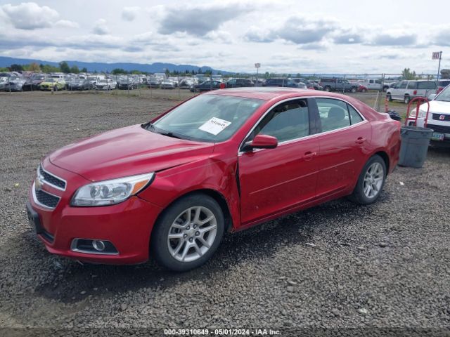 Photo 1 VIN: 1G11F5SR3DF179769 - CHEVROLET MALIBU 