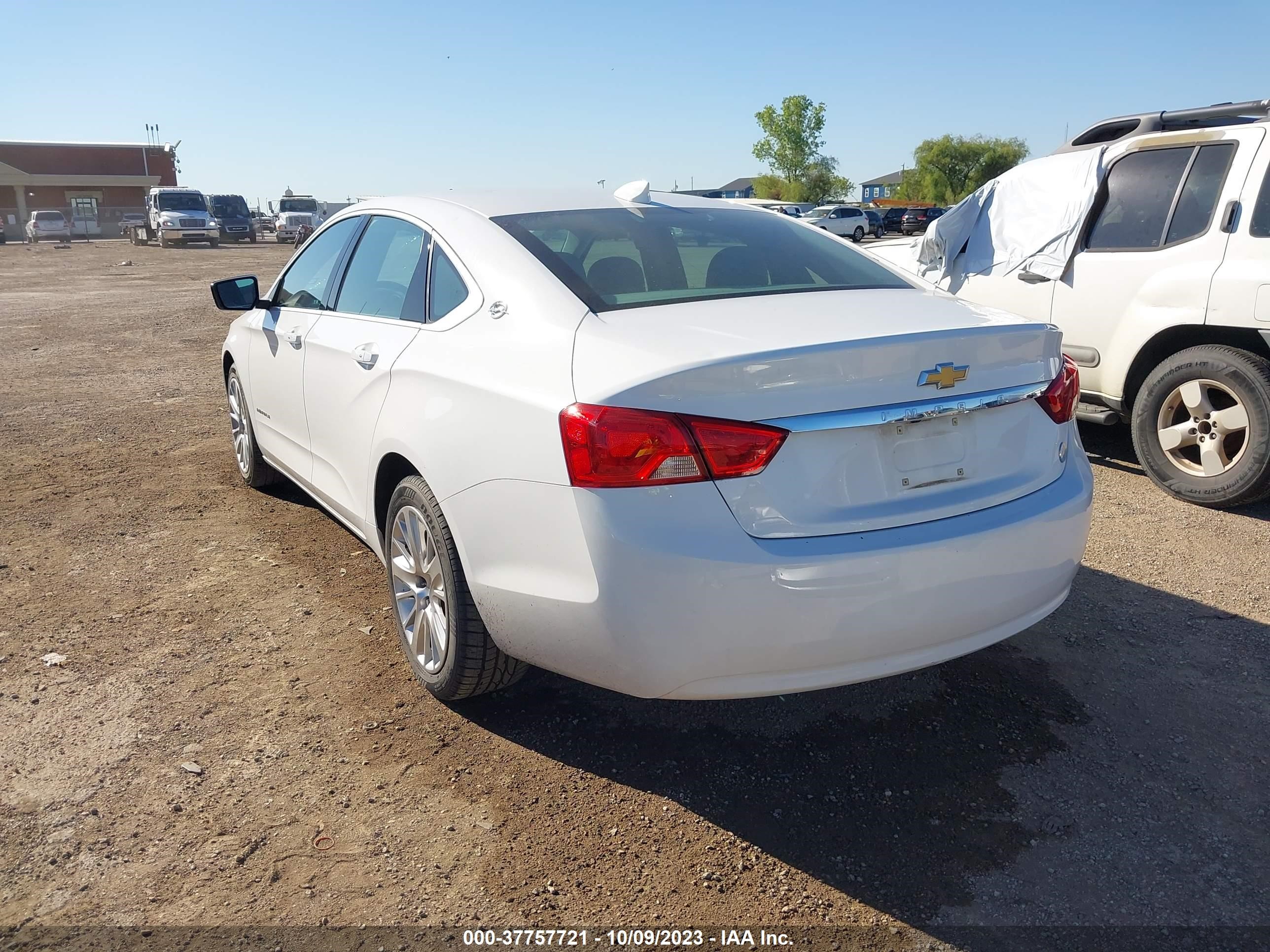 Photo 2 VIN: 1G11Y5SA5KU145376 - CHEVROLET IMPALA 