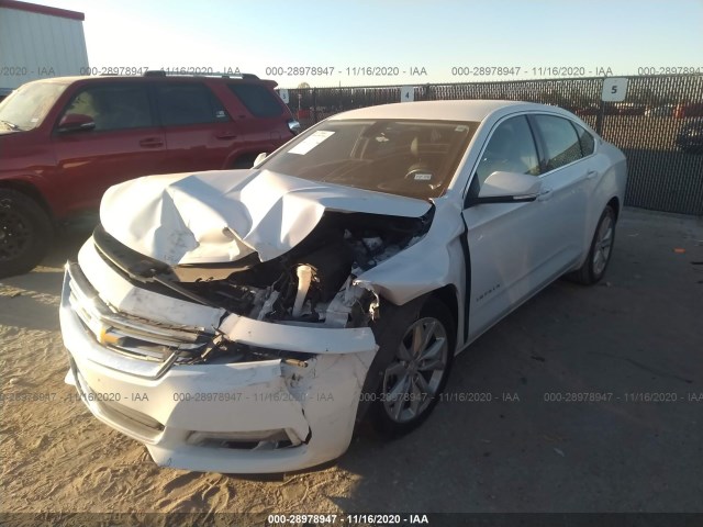 Photo 5 VIN: 1G11Z5S30KU109285 - CHEVROLET IMPALA 